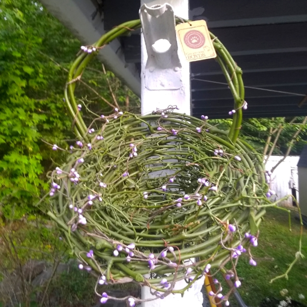 Boyd's Bear green grapevine funnel basket